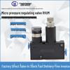 Sheng Yu RVUM Miniature Pressure Regulating Valve for Pneumatic Systems