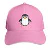 Penguin Cap Fashion Casual Baseball Caps Adjustable Hat Hip Hop Summer Unisex Baseball Hats Polychromatic