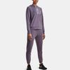Under Armour Rival Terry Hoodie Women hoodies Purple 1369855-530