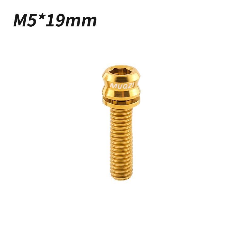 1/2Pcs Titanium Bolt M5X17Mm M5X19Mm Bicycle Nut Titanium Alloy Stem Bolts Road Folding Bike Screw Accessories