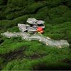 Wege aus Kunststein, Pfade für Feengärten, Dekorationen aus Kunstharz, Mikrolandschaften, Miniatur-Landschaftsgestaltung für Blumentöpfe, DIY