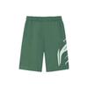 Li Ning Sports Fashion Collection Casual Shorts Men's Mist Pine Green Moderate AKSS495-3