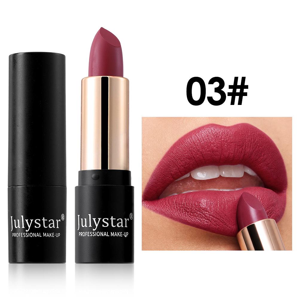 Velvet Matte Lipstick Black Tube,Lasting Waterproof Non-Stick Cup Lipstick, High Pigment Smooth Hydrating Soft Velvet Lip Makeup
