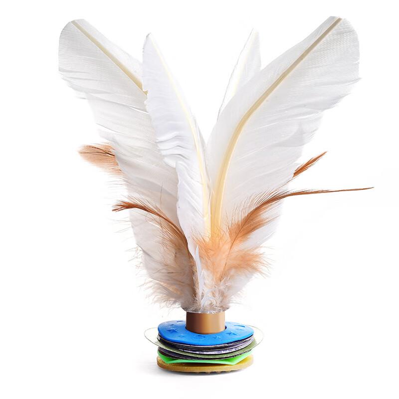 Kids Fitness Goose Feather Shuttlecock