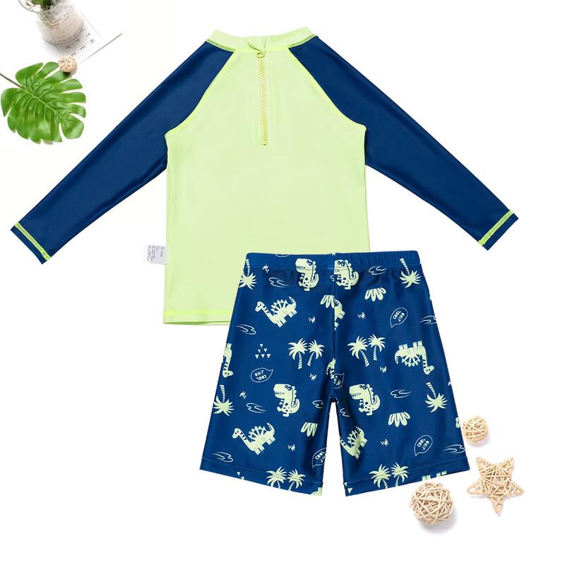 Boys' Dinosaur Print Split Swimsuit Set