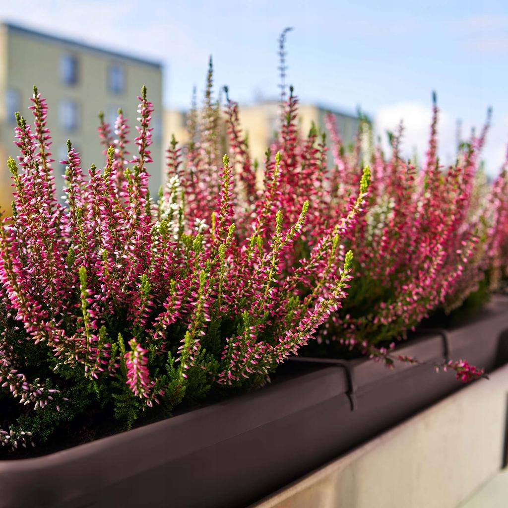 KADAX Skrzynka Balkonowa 80cm Doniczka Na Kwiaty