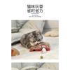 Fun Interactive Turntable Track Arch Corrugated Paper Cat Scratcher Toy