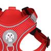 Pet Harness and Leash Combo for Enjoyable Outdoor Adventures