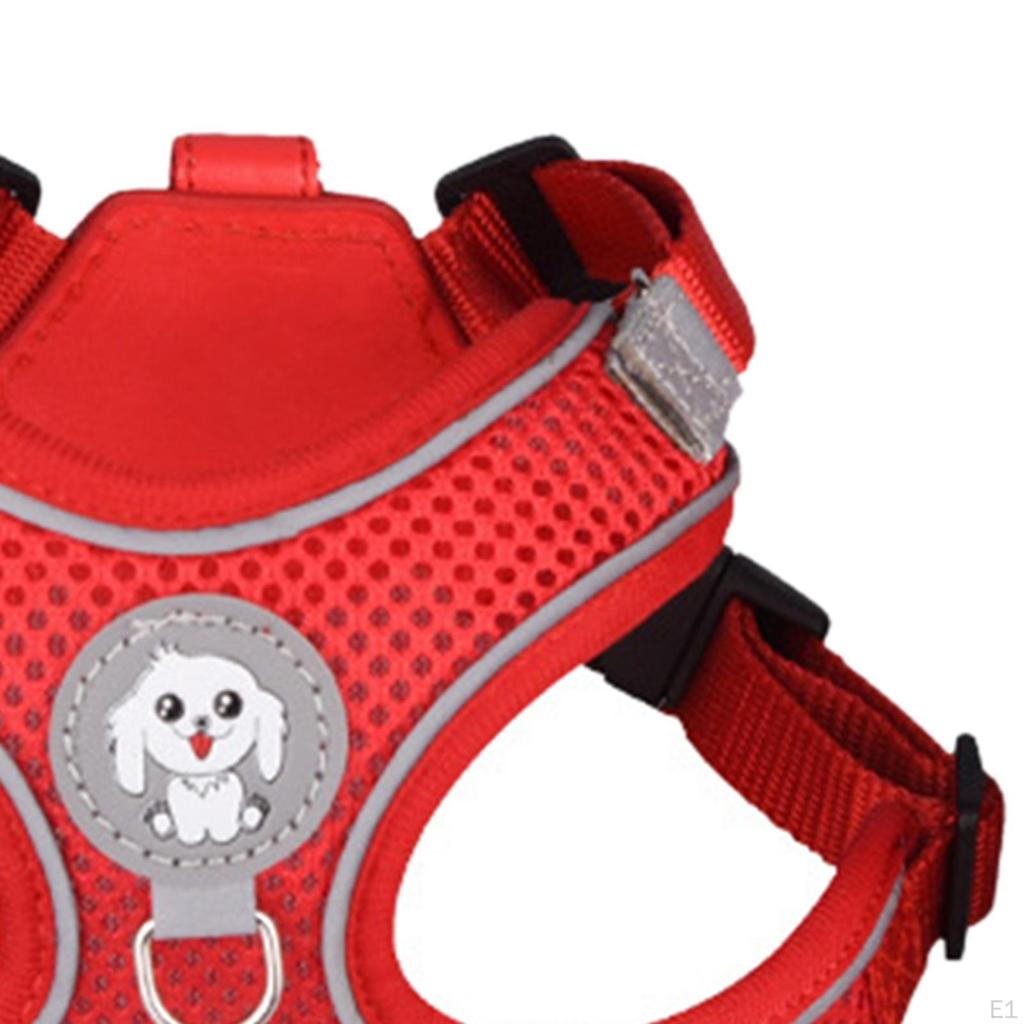 Pet Harness and Leash Combo for Enjoyable Outdoor Adventures