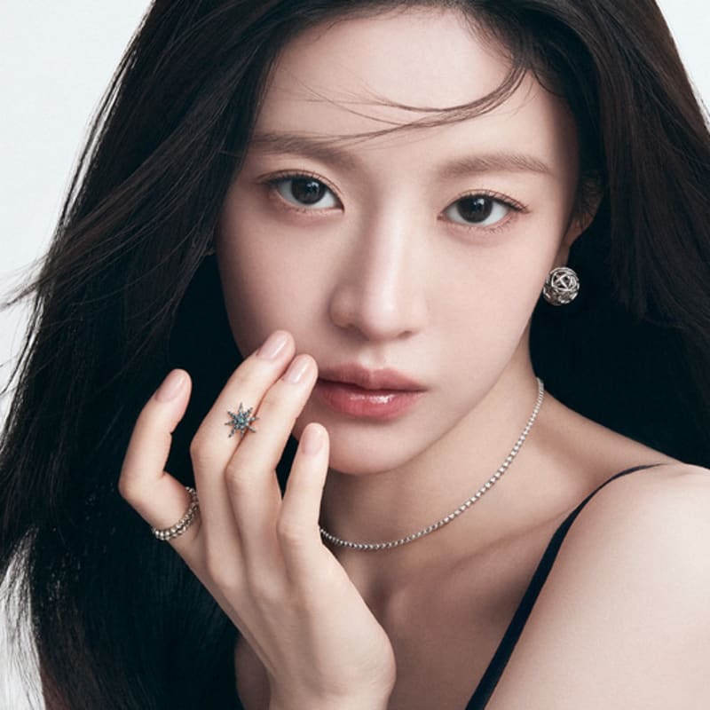 

DIDIER DUBOT Monpari Silver Earrings JDPET5F01XX ONE