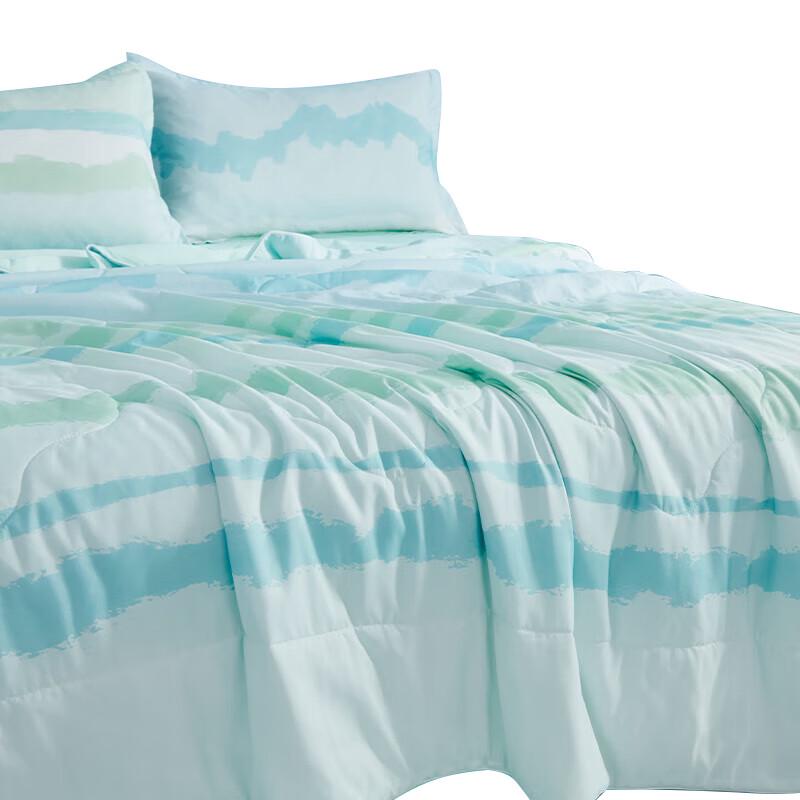

Hengyuanxiang Class A Antibacterial Washable Cool Summer Quilt