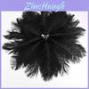 Premium Wholesale Pack Of 10 Natural Ostrich Feathers For Stunning Table Settings