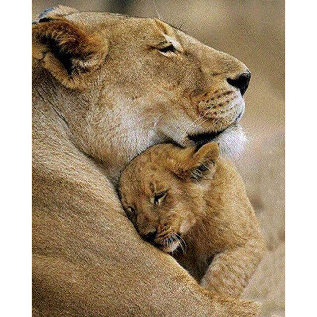 DIY 5D Diamond Painting Baby Feet Love Hand Sweet Room Picture Embroidery Cross Stitch