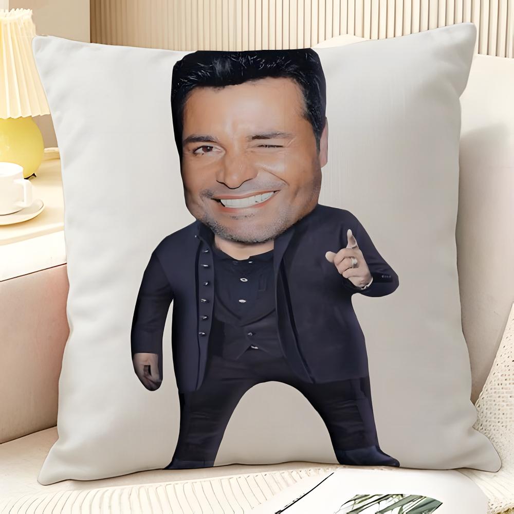Latin Pop Music C-Chayanne 1 Pillow Case Natural Linen Organic Fabric Double-Sided Printing Sofa Home Decor Gift Pillow Case
