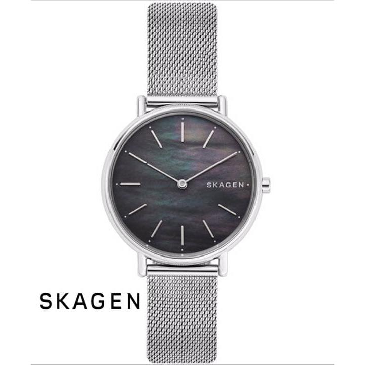 Used RareSKAGEN SIGNATUR SKW2730 Watch Skagen