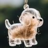 Cute Cat & Dog Fur Keychain Pendant - Creative Transparent Souvenir Gift
