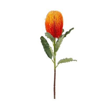 Artificial Banksia Flower Innovative Simulation Light Luxury Artificial Flowers Decorations for