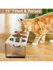 Elevated Cat Bowls with 3 Stainless Steel Bowls 15° Tilted Anti-Vomiting Raised Cat Food Bowl for Small Cats Puppies Accessories