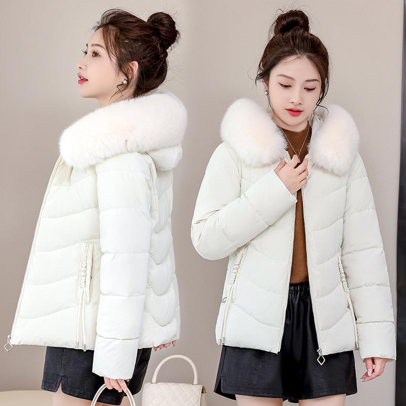 Down cotton-padded clothes women's new large-size slim-fitting hooded cotton clothes casual short thickened cotton clothes jacket