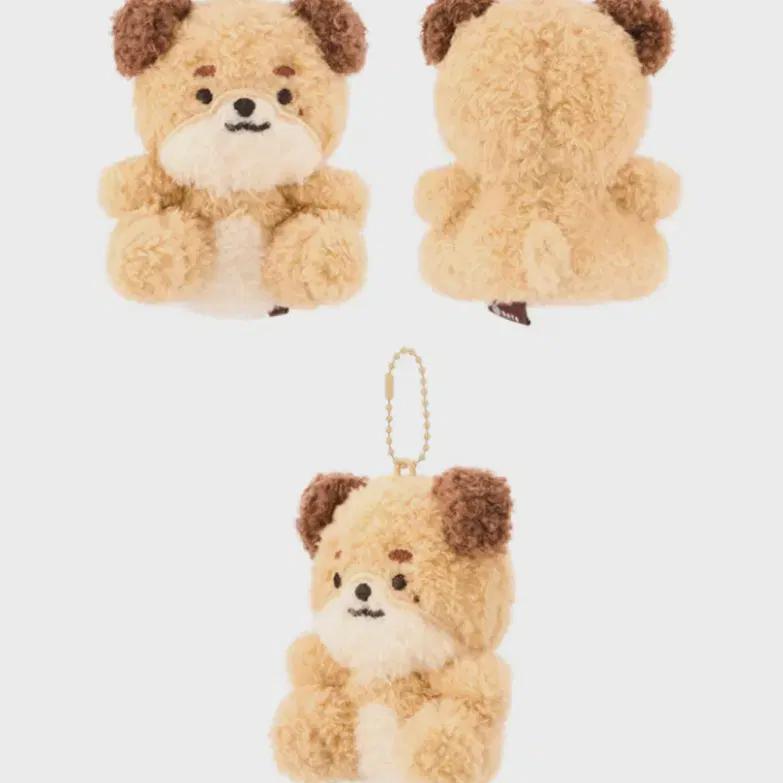

Day6 Denimals Petitmels Seated Ke