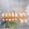 6/10 Holes Egg Storage Container Refrigerator Holder Display Organisers