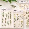 Mr. Paper PET Flower Series Plant Stickers for Journaling - Irregular Shape Decor, 6 Styles
