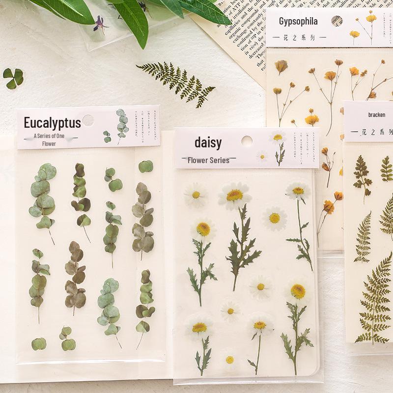 Mr. Paper PET Flower Series Plant Stickers for Journaling - Irregular Shape Decor, 6 Styles