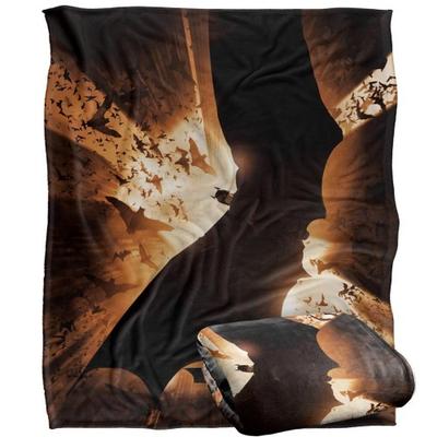 DC Batman Begins Blanket