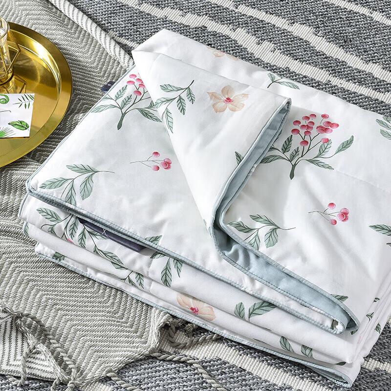 Shanshan Home Textiles Washable Antibacterial Air Conditioning Quilt