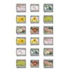 Stainless Steel Flower Assorted Charms Bracelet 18 Pcs Italian Links Fit 9mm Women Hand Bracelet Jewelry Making