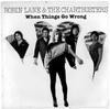 7inch Record ROBIN LANE  THE CHARTBUSTERS  When Things Go Wrong  Many Years A WBS49246 WARNER BROS. 1980 US Rock Used