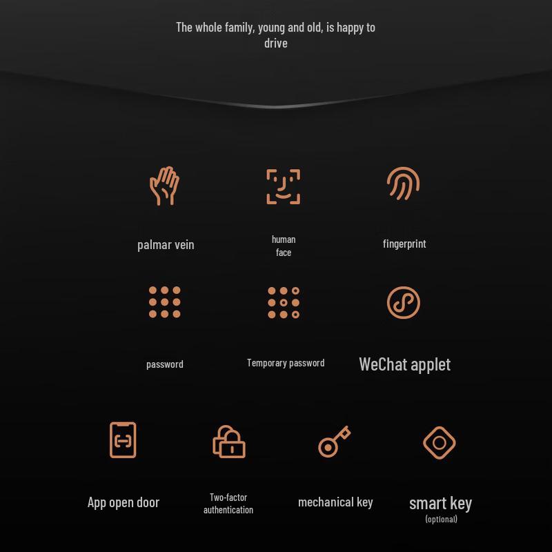 DESMAN Q2FV Facial Recognition Smart Door Lock