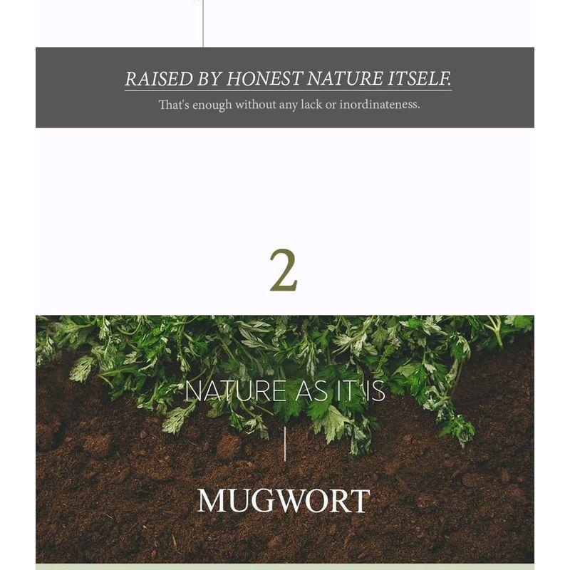I'm from - Mugwort Mask Bundle Set