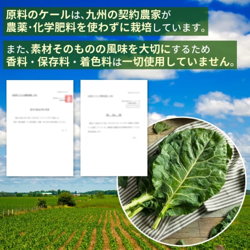 NICHIGA Pure Japanese Kale Green Juice, 1kg, Grown by Contract Farmers Without Pesticides or Chemical Fertilizers, No Preservatives, Colors, or Flavor