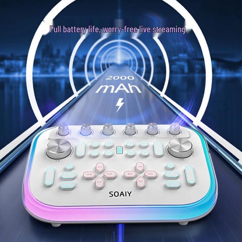 Soaiy SG20 KTV Sound Card Speaker System