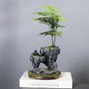 Wenzhu Succulent Basin Fortune Tree Bonsai Retro Rice Bamboo Indoor Good Raising Floating Island Suspended Iron Art Micro Landscape Basin