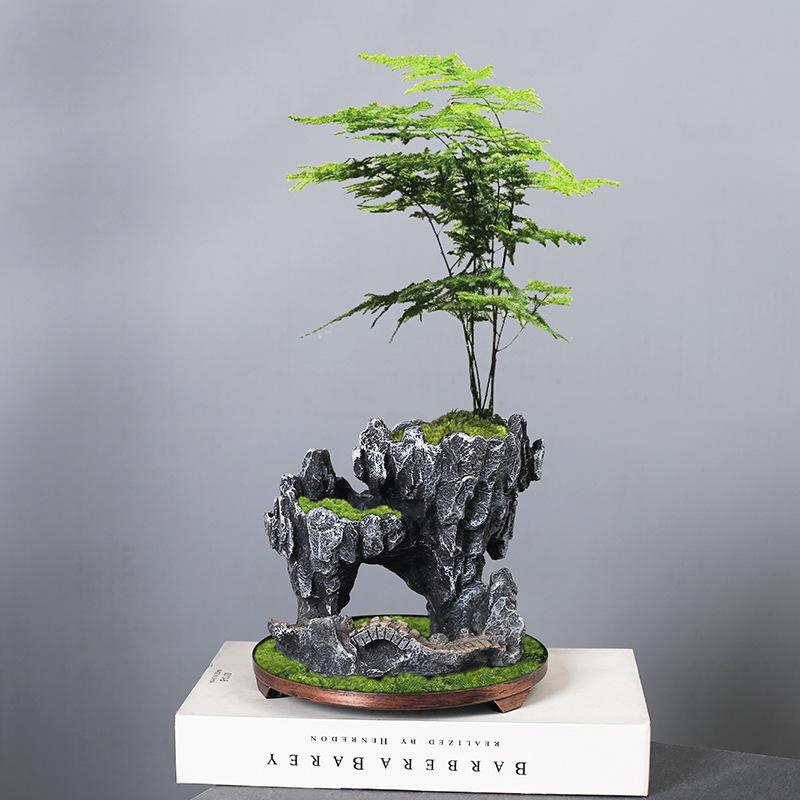 Wenzhu Succulent Basin Fortune Tree Bonsai Retro Rice Bamboo Indoor Good Raising Floating Island Suspended Iron Art Micro Landscape Basin
