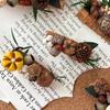 Dried Wood Fruit Refrigerator Magnet Handmade Rustic Natural Plants Pine Cone Decorative Fridge Magnet Photo Holder Home Office Decor