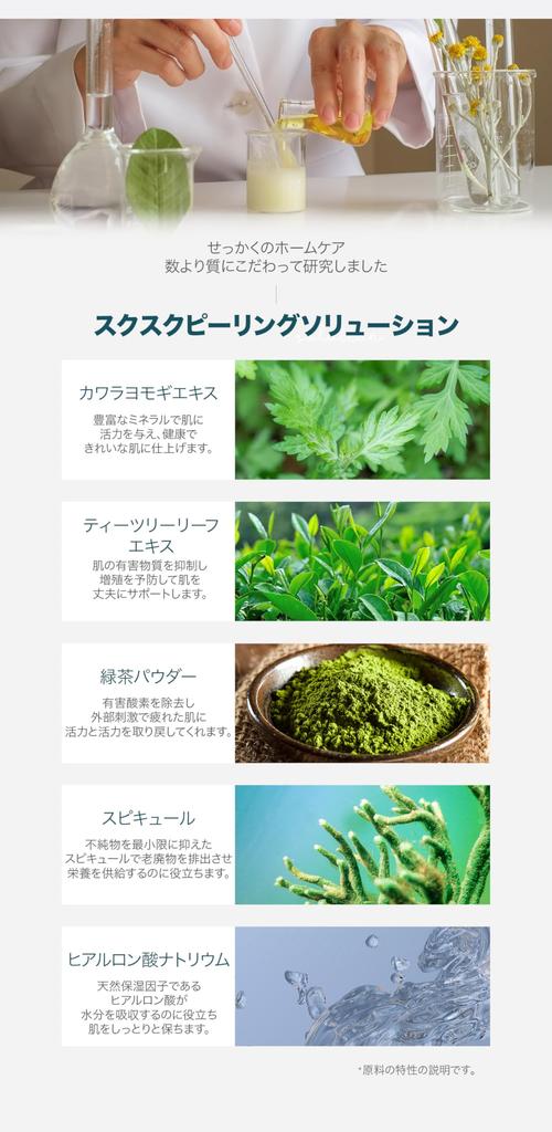 WellDerma [Official WellDerma] Tea Tree & Mugwort Herb Toxic Peeling Pack 150g [Includes Brush]