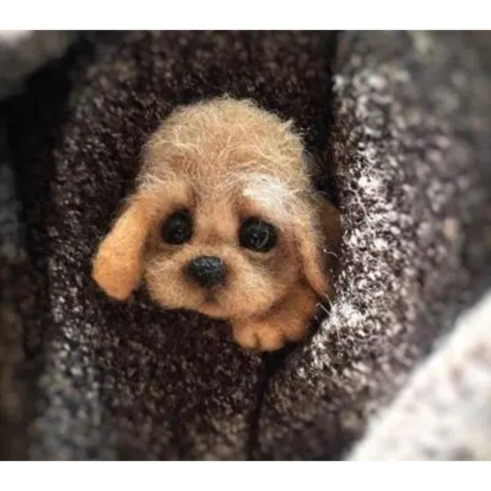 

Шерстяной фетр Поке Ручная работа DIY Материал Кит Шерстяная игла Не готовый Кот Лиса Енот Животное Брошь Плюшевая кукла Женская сумка Подвеска