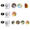 10pcs Realistic Dummy Eggs Multi-size Parrot Eggs Model Simulation Bird Eggs  For Budgie Cockatiel