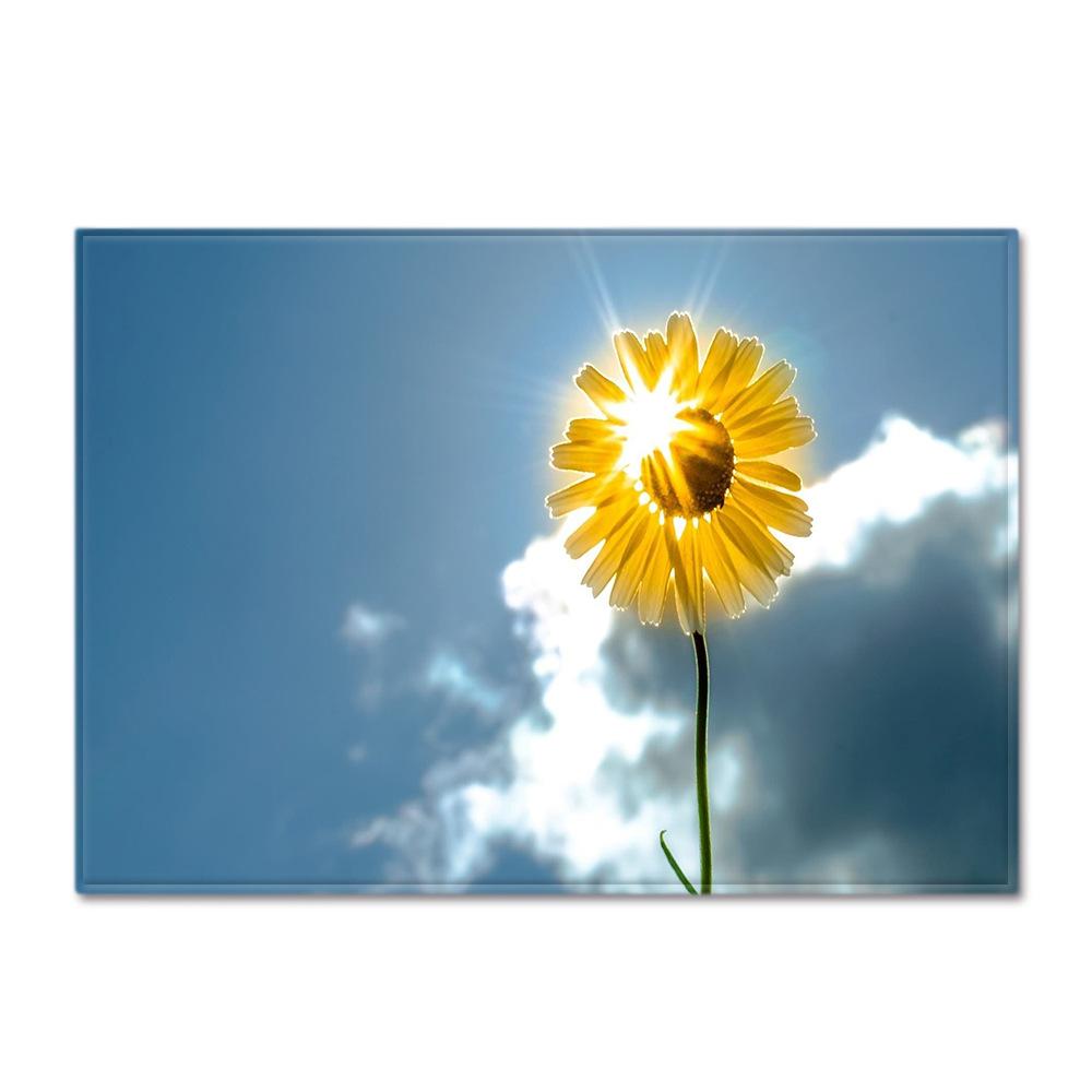 Scenic Carpet Feather Wind Bedroom Floor Mat