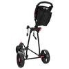 Golf Trolley Black 110 x 60 x 132 cm Iron