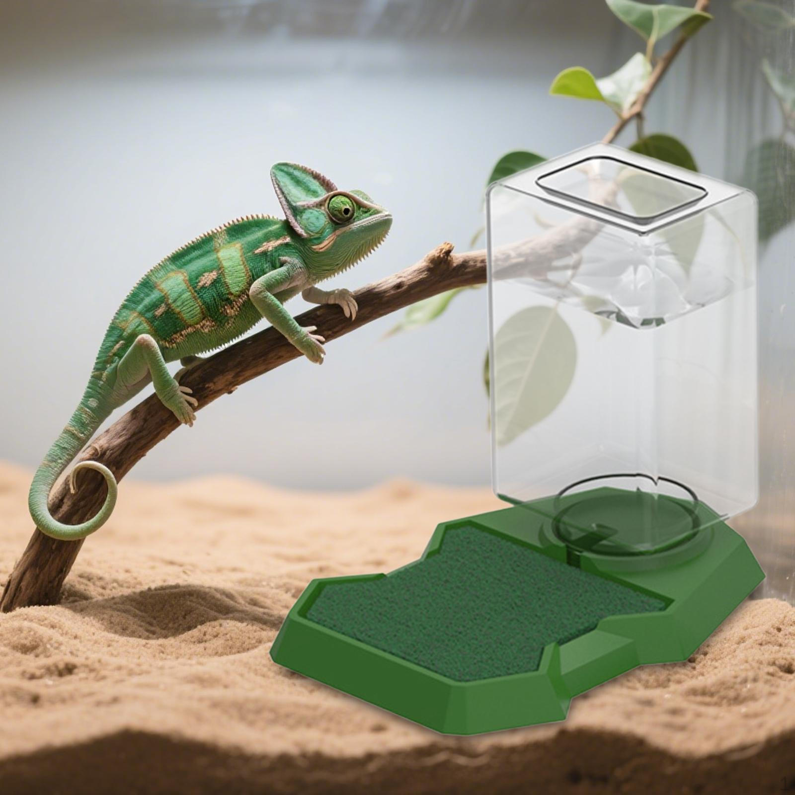 

Reptile Water Dispenser Pet Waterer Feeding Dish Turtle Food and Bowl Tortoise