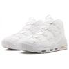 Nike Air Max Uptempo '95 'Triple White' 922935-100