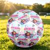 Pallone da Calcio Taglia 5 Modello Gabby's Dollhouse, Pallone da Calcio Resistente all'Usura per Allenamenti, Partite, Gioco Sportivo Quotidiano