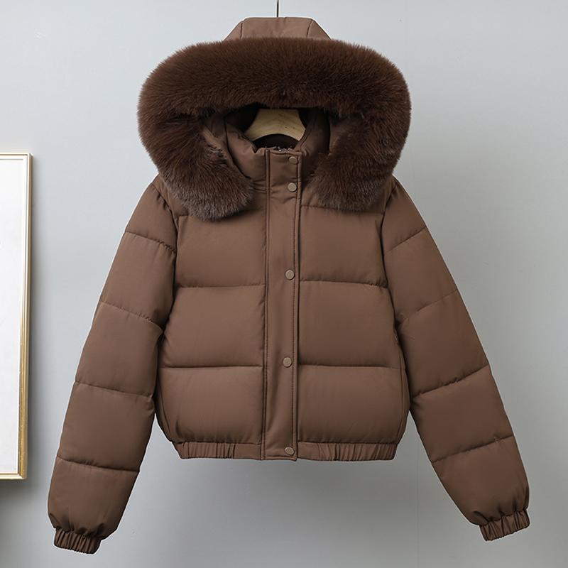 Fashion Winter Coat Female Short Parkas Hooded Faux Fur Collar Loose Thick Warm Women's Jackets