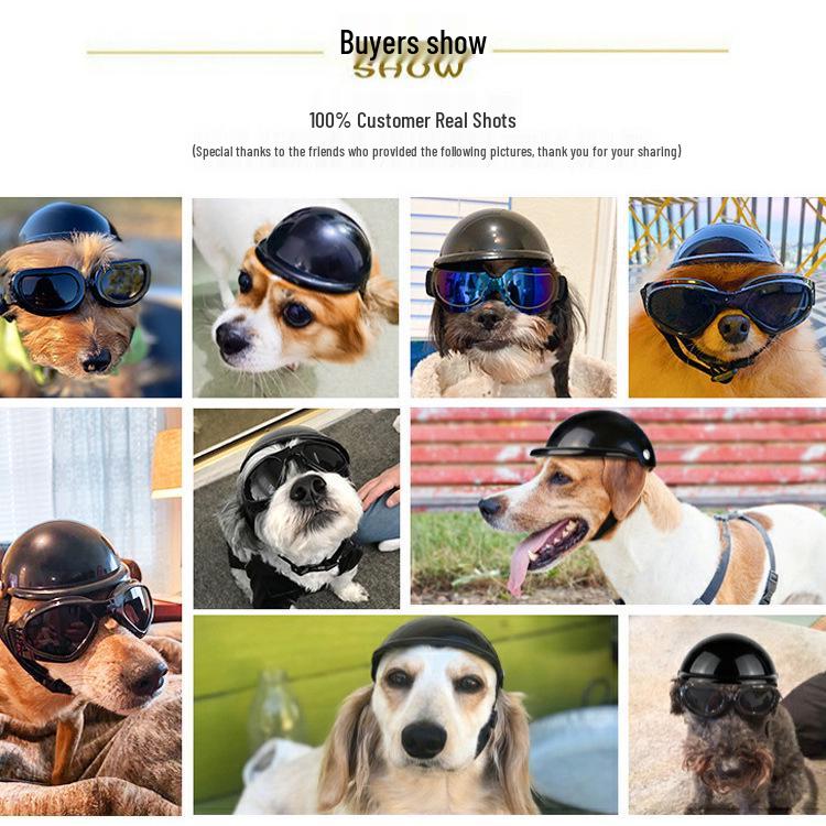 Evcil Hayvan Güneş Gözlüğü: Köpekler ve Kediler İçin Yaz Gözlükleri, Corgiler, Fransız Bulldogları, Sınır Collie'leri ve Teddyler İçin Mükemmel