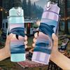 1PC Jumping Dolphin Ocean Wave Print 750ml Color Plastic Sports Water Bottle Leakproof Flip Straw Lid Suitable for Sports Office Home Use