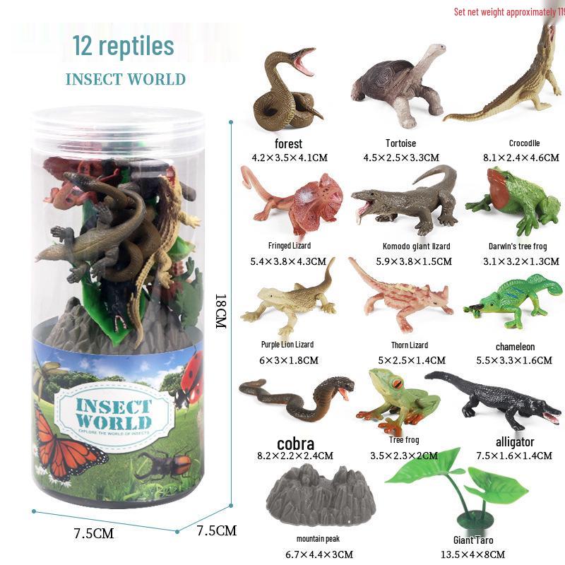 Frog Life Cycle Model Set: Tadpole to Frog Educational Toys for Kids